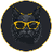 image coin