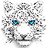 image coin