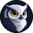 image coin